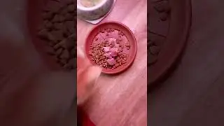 Вкусняшка для Персика