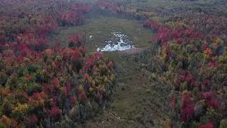 Fall Colours Sept 2023