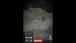 #drivingfails #shorts