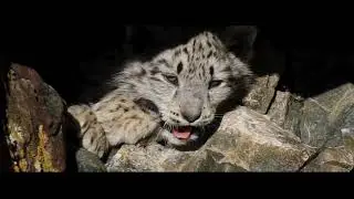 Queen of the Altai Mountains documentary