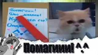 Новая подборка приколов с животными 2019 / Ржака до слез / ПОПРОБУЙ НЕ ЗАСМЕЯТЬСЯ