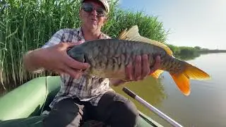 Рыбалка на макуху с лодки в Ростовской области!