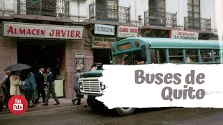 Buses de Quito