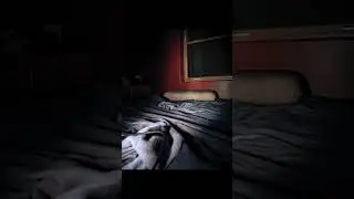 I flash banged my house 💥 #photo #photography #shorts #shortsvideo #relatable #flash