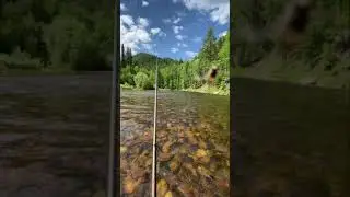Рыбалка на реке Турка