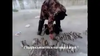 Подлёдная ловля хариуса на реке Амга