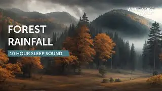 Forest Rain on Leaves - 10 Hours Sleep Sound - Black Screen