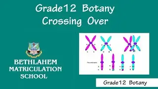 Grade 12 Botany || Crossing Over || Online Class 12th Std. || Bethlahem Matriculation School