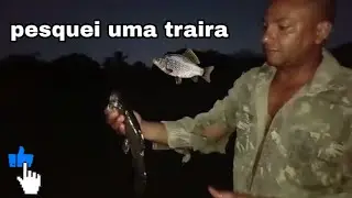 pescando traira