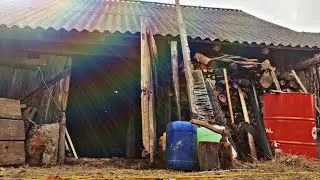 Завалил весь двор// Востонавливаю старый сарай для Коров