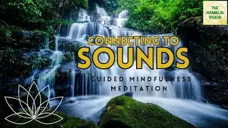 Connecting to Sounds - Guided Mindfulness Meditation