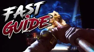 DER EISENDRACHE - PLUNGER & UPGRADED PLUNGER FAST GUIDE | BLACK OPS 3 ZOMBIES