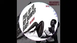 Air Lovers - Pull Up To My Bumper Baby (Bob Shepherd x Da Clubbmaster Remix) 👠🪩