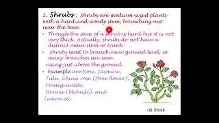 Class 6  chapter 7  getting to know plants                      Lecture 1