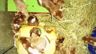 Тропикпарк story