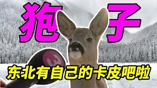 【狍子】东北有自己的卡皮吧啦!狍子一骑绝尘的技能居然是这个?