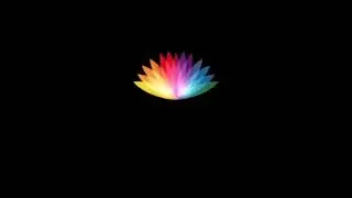 HMA/IHP/Small Dog Picture Company/NBC Studios/20th Century Fox Television (2019-2020)