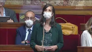 Défense de  mes amendements en vue de l