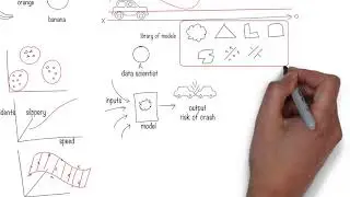 What are the different roles in data science?