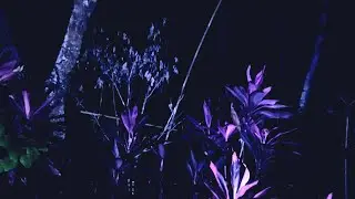 LIVE MISTERI MALAM INI || CARI HANTU