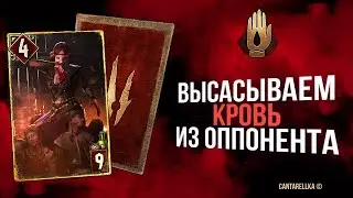 ПРАВИЛЬНЫЕ ВАМПИРЫ | ГВИНТ | ГАЙД ЧУДОВИЩА 10.6