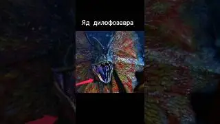 Where did dilophosaurus get its poison from? 
