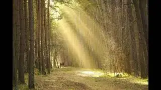 Soothing sleep music #sleepingmusic  #music #sleepmusic