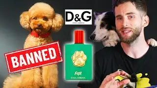 PARFUM pour CHEIN à 100€: honteux Dolce Gabbana