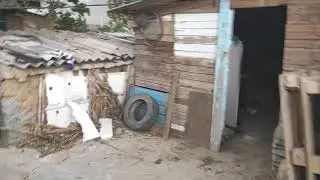 Пылевая буря. Одесская обл
