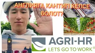 Англияга кантип барса болот? мен саатына 1000сомдон иштейминби? 