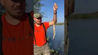 Пулӑра - на рыбалке #чувашия #чуваш #чуваши