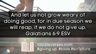 Never Give Up Bible Verse: Galatians 6:9 Scripture for Today