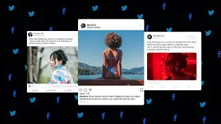 Animated Social Posts - Free After Effects Template | Pik Templates