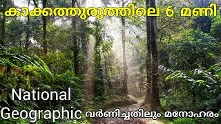 Kakkathuruthu Island | കാക്കത്തുരുത്ത് | NAT GEO Best place in the world For Sunset | vibe hunter