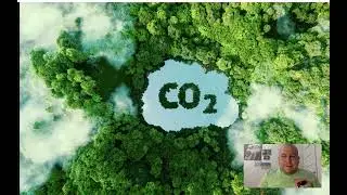 Экология и Блокчейн 2024 / Ecology and Blockchain