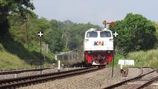 KING WILIS BERJALAN PELAN SAAT MELINTAS DI JALUR NIKUNG HUNTING KERETA API