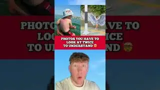 PHOTOS YOU HAVE TO LOOK AT TWICE TO UNDERSTAND!!