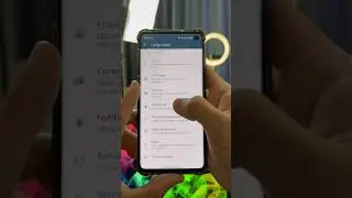 Modo colorido do WhatsApp 