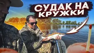 РЫБАЛКА НА КРУЖКИ ЛОВИМ СУДАКА НА ФИЛЕ