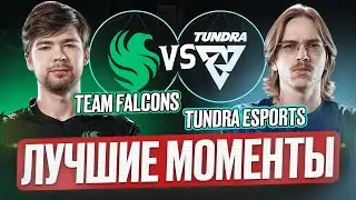 TUNDRA vs FALCONS - ЛУЧШИЕ МОМЕНТЫ с BB Dacha Belgrade 2024