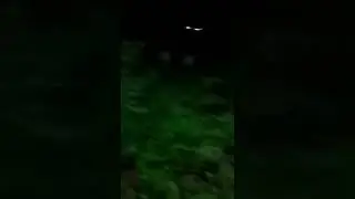 Gak Kuat Jangan Nonton!!😰