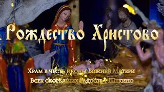 Рождество Христово ! Храм в честь иконы Божией Матери Всех скорбящих радость г.Щекино.