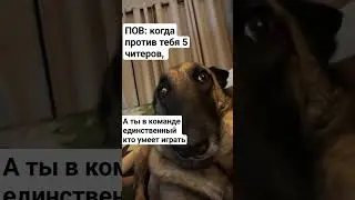 мем #приколы #chickengun #memes #мемы