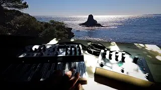Catalonia - Jam M&Ms Microfreak & Microcosm