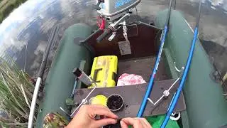 карась на поплавок . подергал немного анчеуса