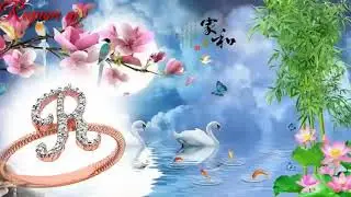 R letter whatsapp status name status R status R ward R romantic status love status R st
