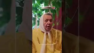 🚢 «Монахи — БОЛЬШОЙ СВЕТ В ОКЕАНЕ для кораблей, а причал их БОГЪ...»