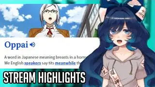 OPPAI is Boobies || Twitch Stream Highlights #1
