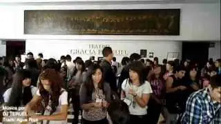 Videoresumen de 