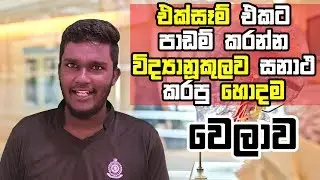 Best Time to Study - Scientifically Proven Methods in Sinhala